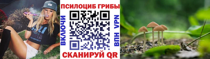Галлюциногенные грибы мицелий Славгород